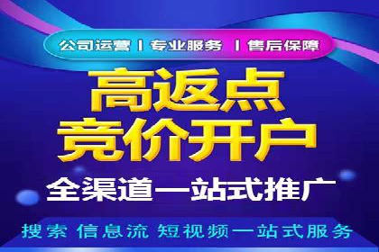竞价排名案例：优化广告预算分配